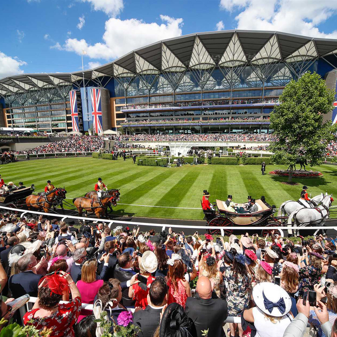 Giraffe Generals Royal Ascot Boxed Tickets