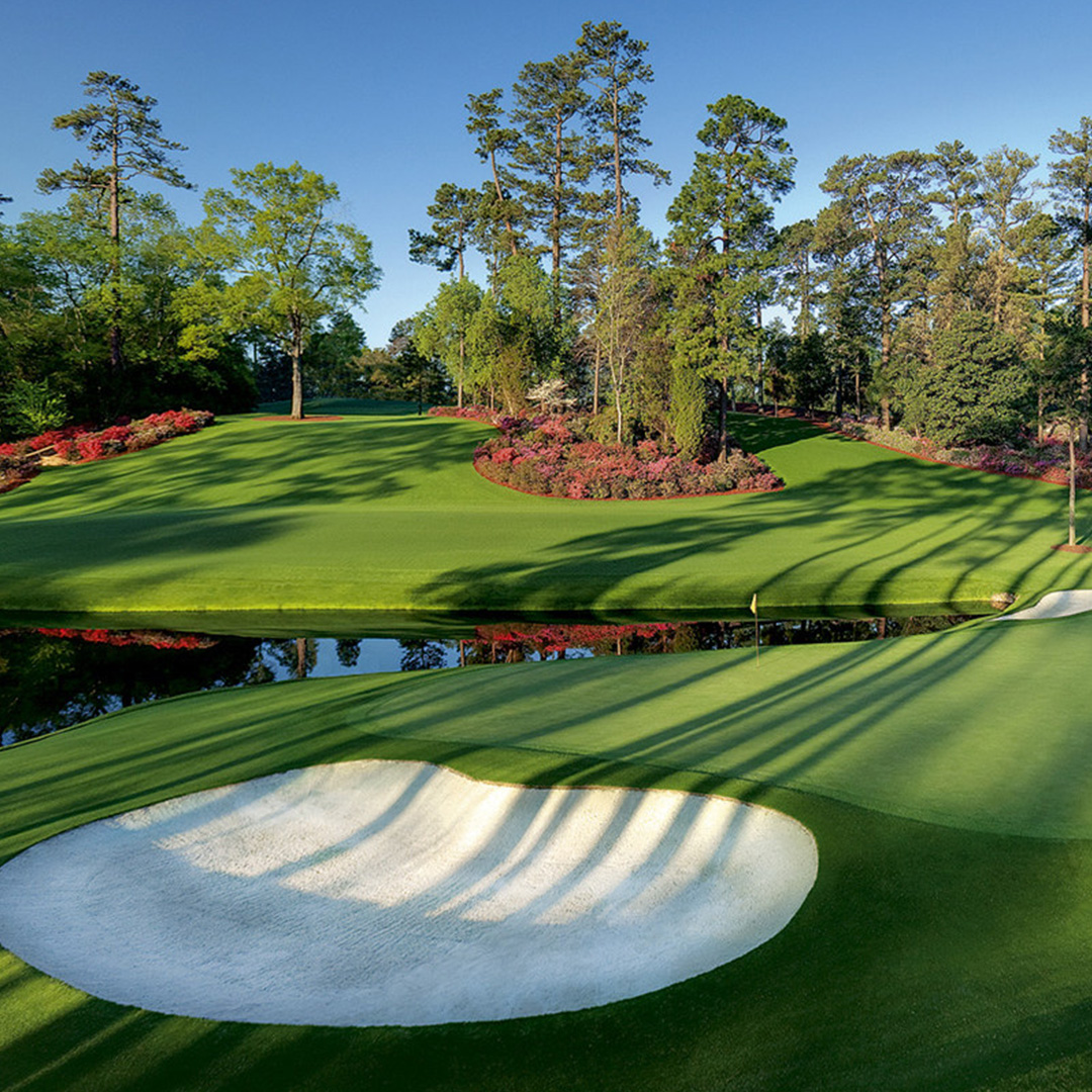 Giraffe Generals  The Masters at Augusta