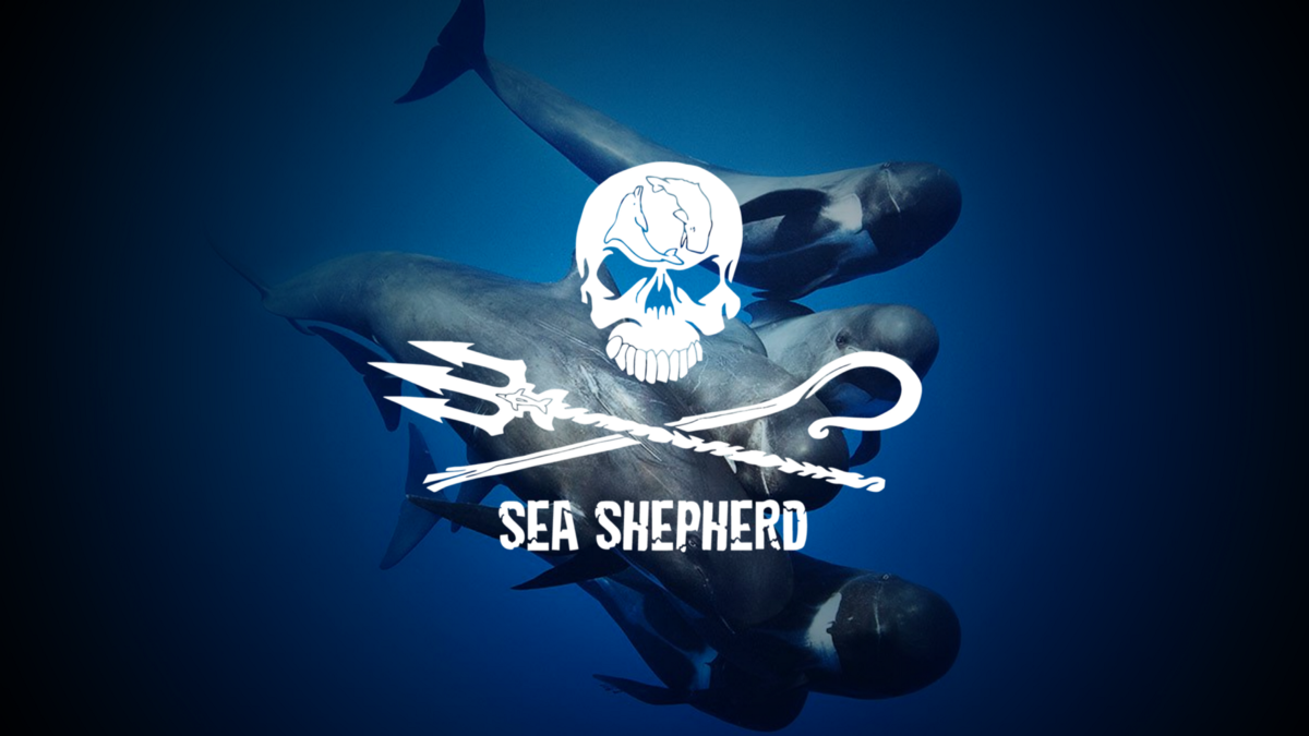 Sea Shepherd